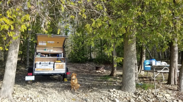 teardrop trailer, setup for camping, surrounded by cedar trees