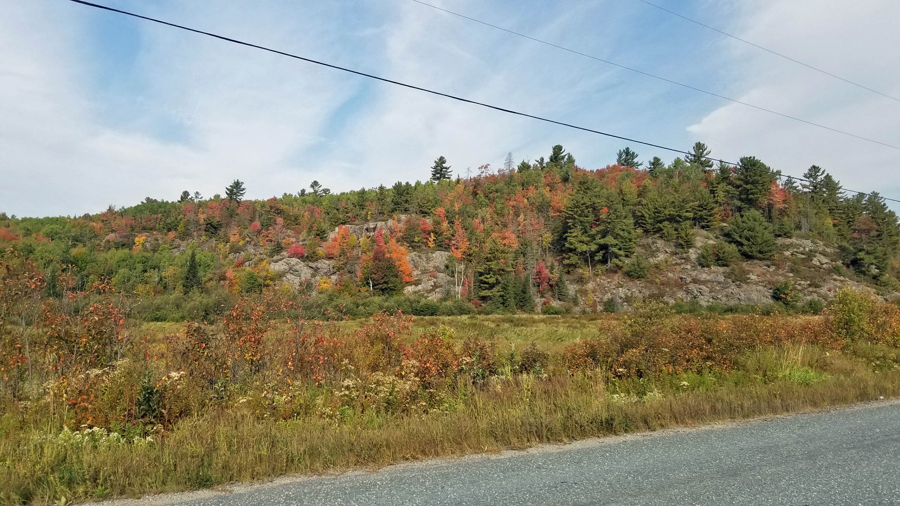 rocky, treed Canadian shield landscape