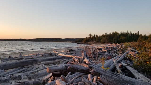 sunset on driftwood beach