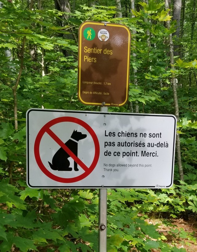 sign, in French, prohibiting dogs on a trail