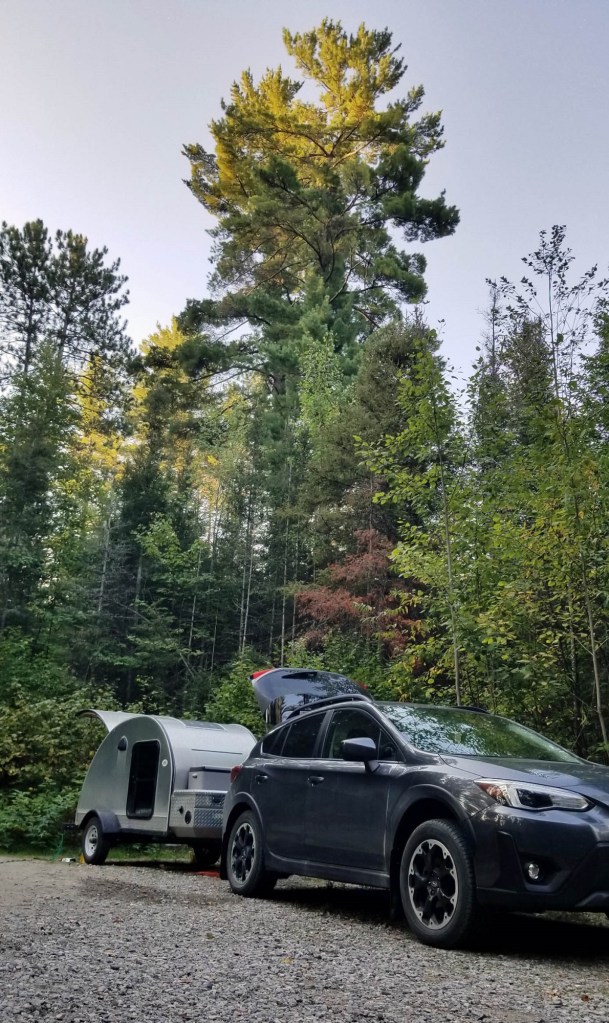 car with teardrop trailer in foreground; forest with tall pine tree in background