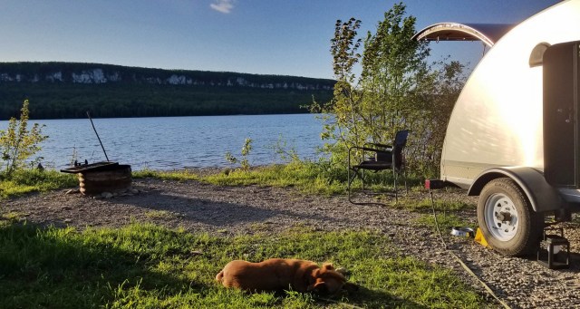 dog sleeping at campsite with teardrop trailer